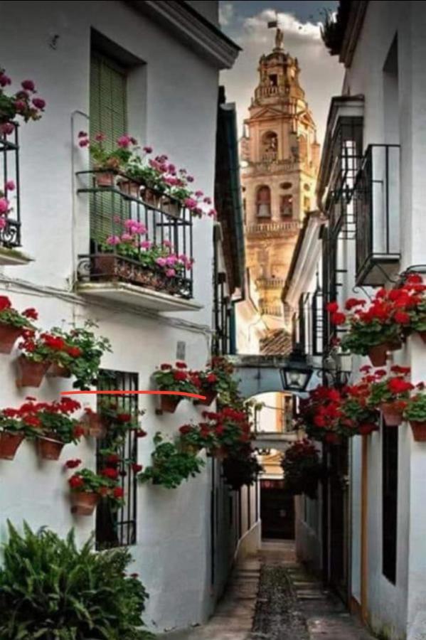 Apartamento La Magdalena Cordoba Luaran gambar